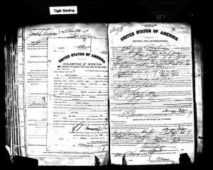 Herman Brotman Naturalization Application