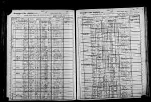 1905 NY census
