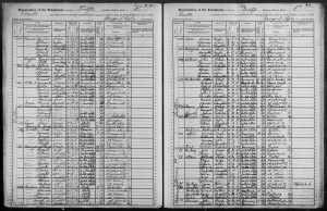 Gustave Rosenzweig family on the 1905 NYS census
