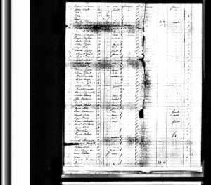 David and Abe Brodman on the Obdam to New York 1889