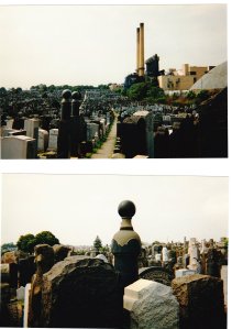 Mt Sinai cemetery