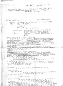 transcript listing Srulovici children