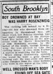 Brooklyn Standard Union July 8, 1913 page 6