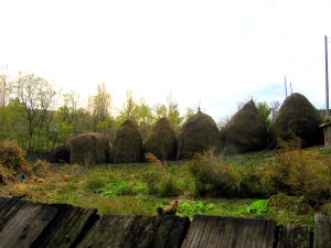 odd haystack, neighboring farm