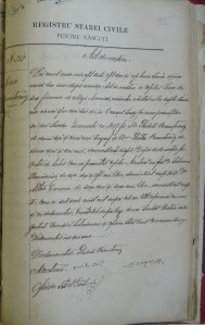 Sura Rosentvaig birth record