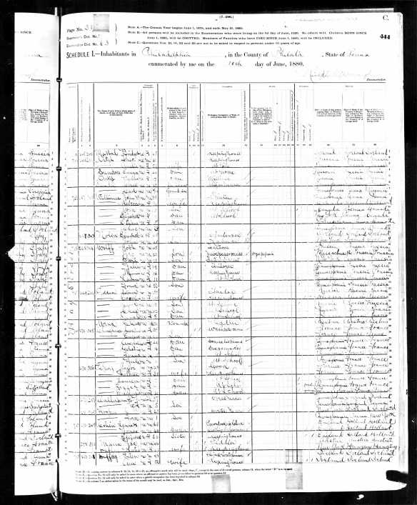Lewis, Elizabeth and Jonas Cohen 1880 US census