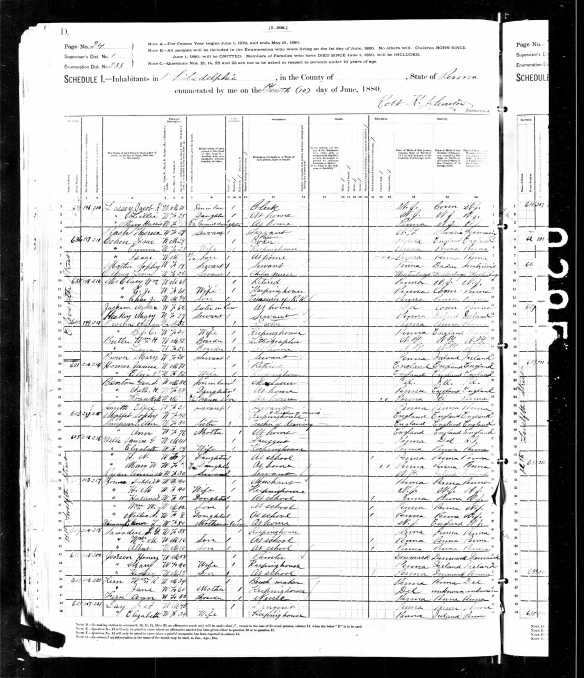 Isaac Cohen and son living with Emanuel Cohen and family 1880 census