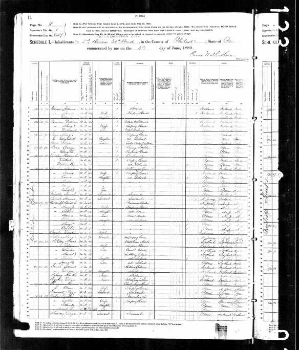 Reuben Cohen 1880 census