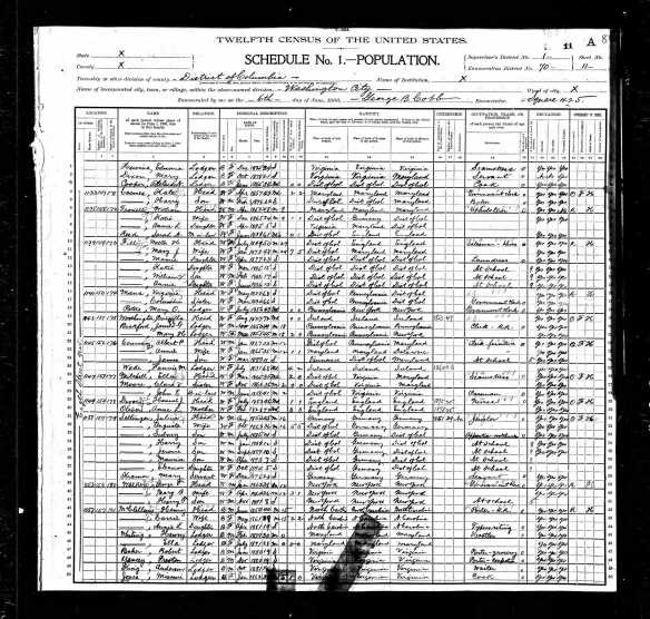 Augusta and Julius Selinger 1900 census