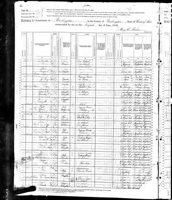 Jacob M. Cohen and family 1880 census
