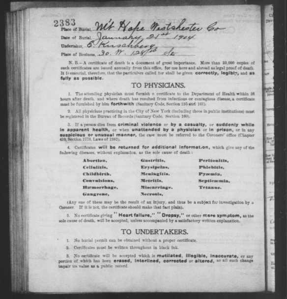 1904 19 Jan Ella greenberg death cert#2383  pg2  004006272_00860