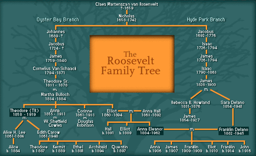 Family Tree showing how FDR and Teddy Roosevelt were fifth cousins  http://www-tc.pbs.org/wgbh/americanexperience/media/uploads/special_features/captioned_image/eleanor_tree.jpg