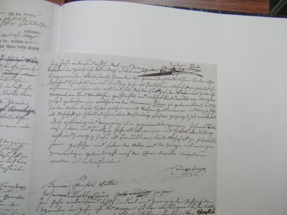 Birth Record of Saara Schoenfeld 1820