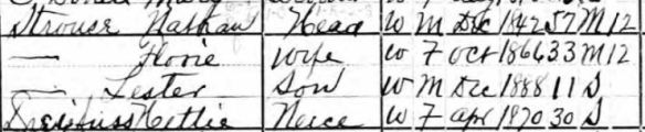 Flora and Nathan Strouse 1900 census