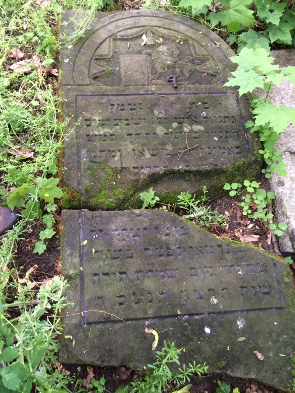 gravestone on the ground in the Jewish cemetery in Tarnobrzeg