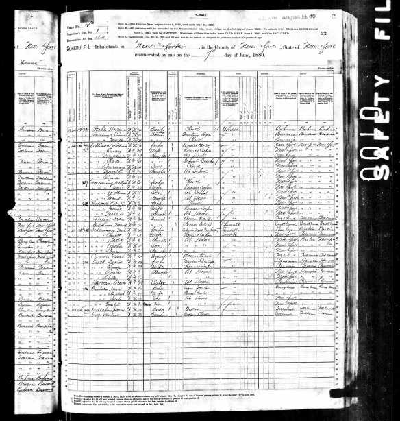 Max Schlesinger and Charlotte Seligman 1880 US census