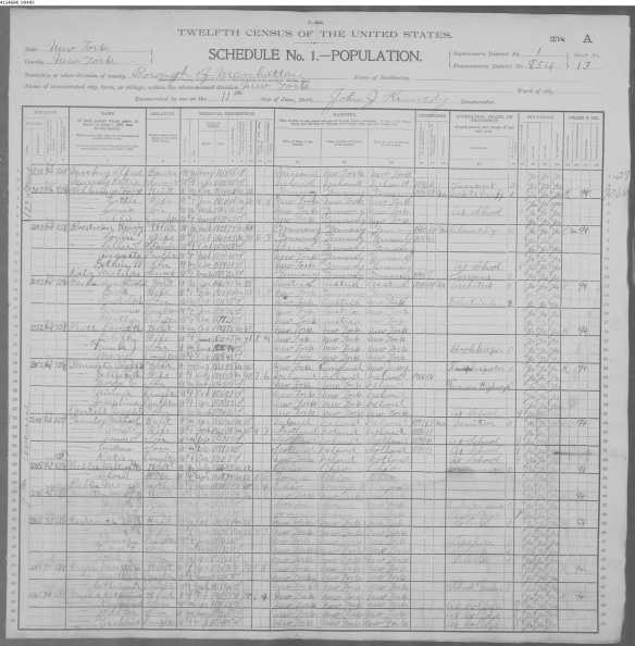 Max Schlesinger and Charlotte Seligman 1900 census
