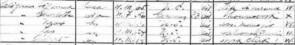 Sigmund Seligman and family 1915 NY census New York State Archives; Albany, New York; State Population Census Schedules, 1915; Election District: 09; Assembly District: 21; City: New York; County: New York; Page: 35