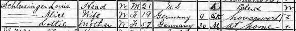 Louis Schlesinger 1905 census New York State Archives; Albany, New York; State Population Census Schedules, 1905; Election District: A.D. 21 E.D. 35; City: Manhattan; County: New York; Page: 38