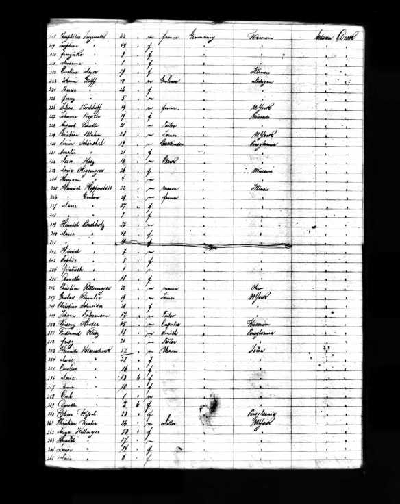 Simon Schoenthal and Amalie Schoenthal 1867 ship manifest, lines 230 and 231 Year: 1867; Arrival: New York, New York; Microfilm Serial: M237, 1820-1897; Microfilm Roll: Roll 286; Line: 1; List Number: 1004