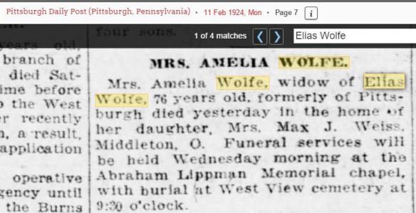 Amelia Wolfe death notice