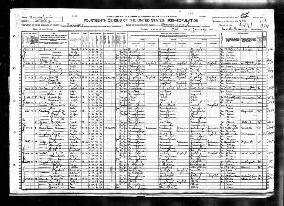 Lee Wolfe and family, 1920 census Year: 1920; Census Place: Dormont, Allegheny, Pennsylvania; Roll: T625_1511; Page: 1A; Enumeration District: 882; Image: 267
