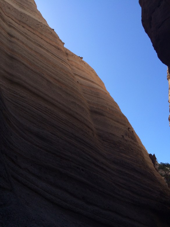 20160528_153552016_iOS