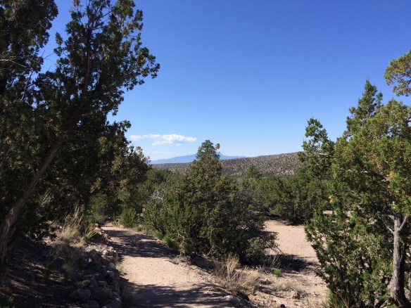 20160528_155202533_iOS