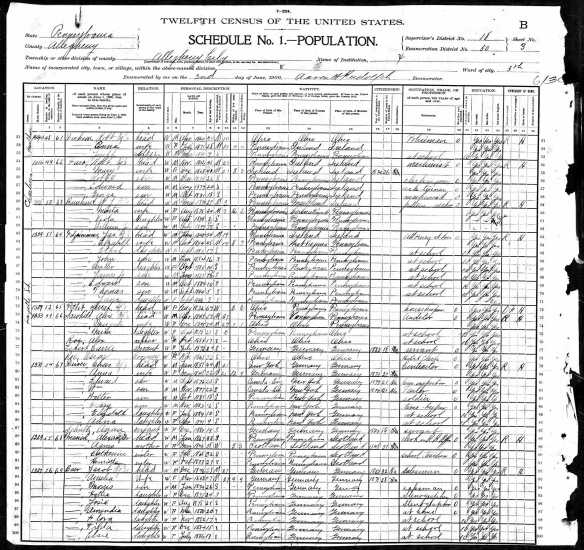 Amalia Baer 1900 census p 1