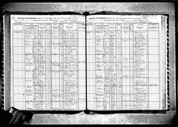 Jerome and Elsie Baer Grant and family 1915 NYS census New York State Archives; Albany, New York; State Population Census Schedules, 1915; Election District: 49; Assembly District: 23; City: New York; County: New York; Page: 60