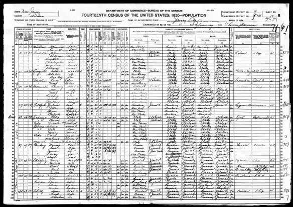 Julius Goldfarb and family 1920 US census lines 70-73 Year: 1920; Census Place: Jersey City Ward 3, Hudson, New Jersey; Roll: T625_1043; Page: 17B; Enumeration District: 135; Image: 1104