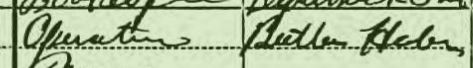 Ida Hecht occupation on 1910 census 