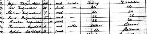 Ship manifest close up Year: 1856; Arrival: New York, New York; Microfilm Serial: M237, 1820-1897; Microfilm Roll: Roll 164; Line: 1; List Number: 589