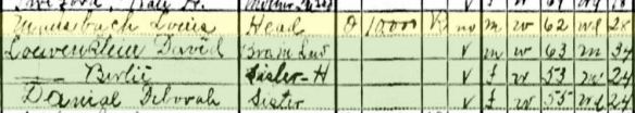 Mansbach siblings on 1930 census Norfolk, VA Year: 1930; Census Place: Norfolk, Norfolk (Independent City), Virginia; Roll: 2470; Page: 4B; Enumeration District: 0050; Image: 888.0; FHL microfilm: 2342204