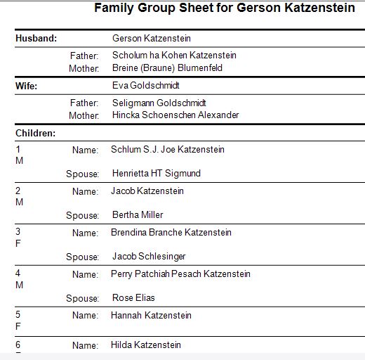 family-group-sheet-for-gerson-katzenstein