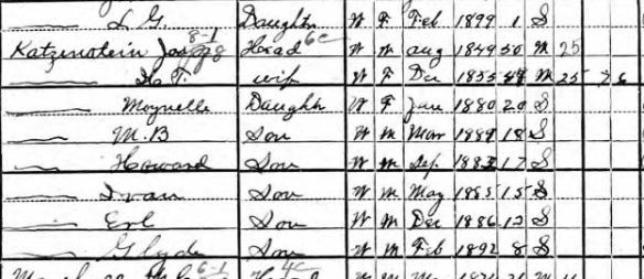 SJ Katzenstein and family 1900 census Year: 1900; Census Place: Washington, Washington, Pennsylvania; Roll: 1494; Page: 16B; Enumeration District: 0173; FHL microfilm: 1241494