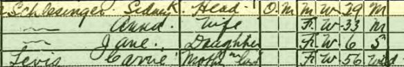 Sidney Schlesinger and family 1920 census Year: 1920; Census Place: Philadelphia Ward 42, Philadelphia, Pennsylvania; Roll: T625_1643; Page: 13B; Enumeration District: 1563; Image: 705